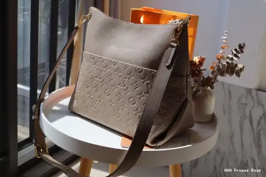 AAA Pruses Bags HOBO LOUIS VUITTON MAIDA 0526